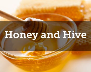 Honey and Hive