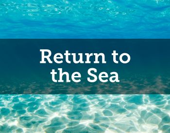 Return to the Sea